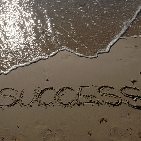 Veritas Business Sales Ltd guarantees success